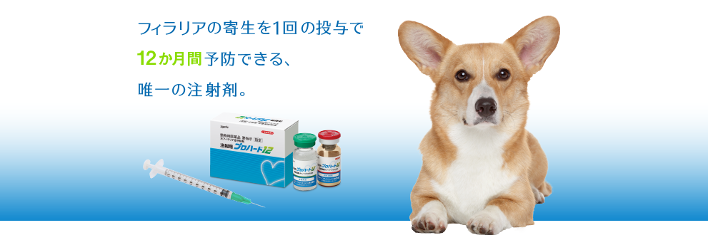 ph12_991x310_20240419